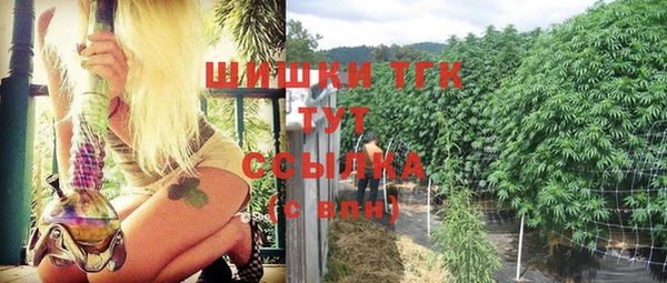 бошки Алзамай