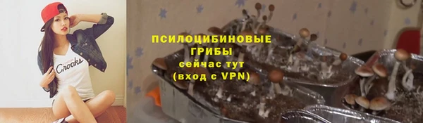 синтетический гашиш Алексеевка