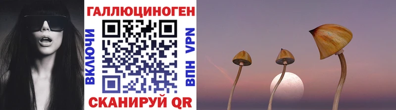 Псилоцибиновые грибы Magic Shrooms Любим